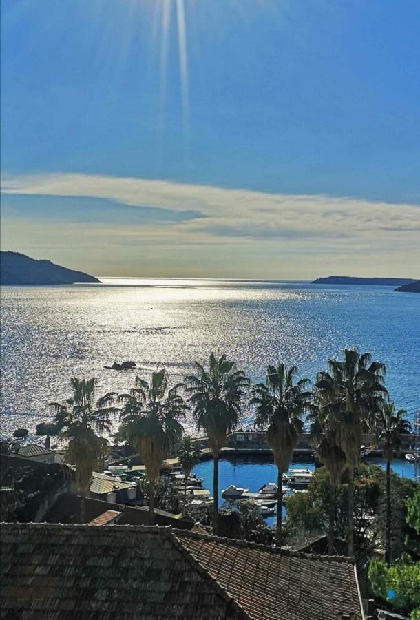 Apartments Dikan Herceg Novi Kültér fotó